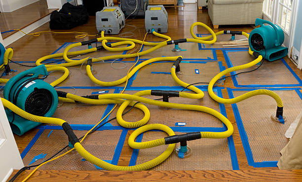 Professional Water Damage Restoration technician working in Berwick, IA